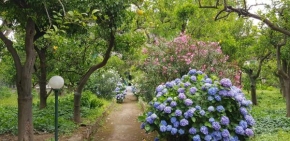 Villa Tozzoli 'Top' Floor Sorrento